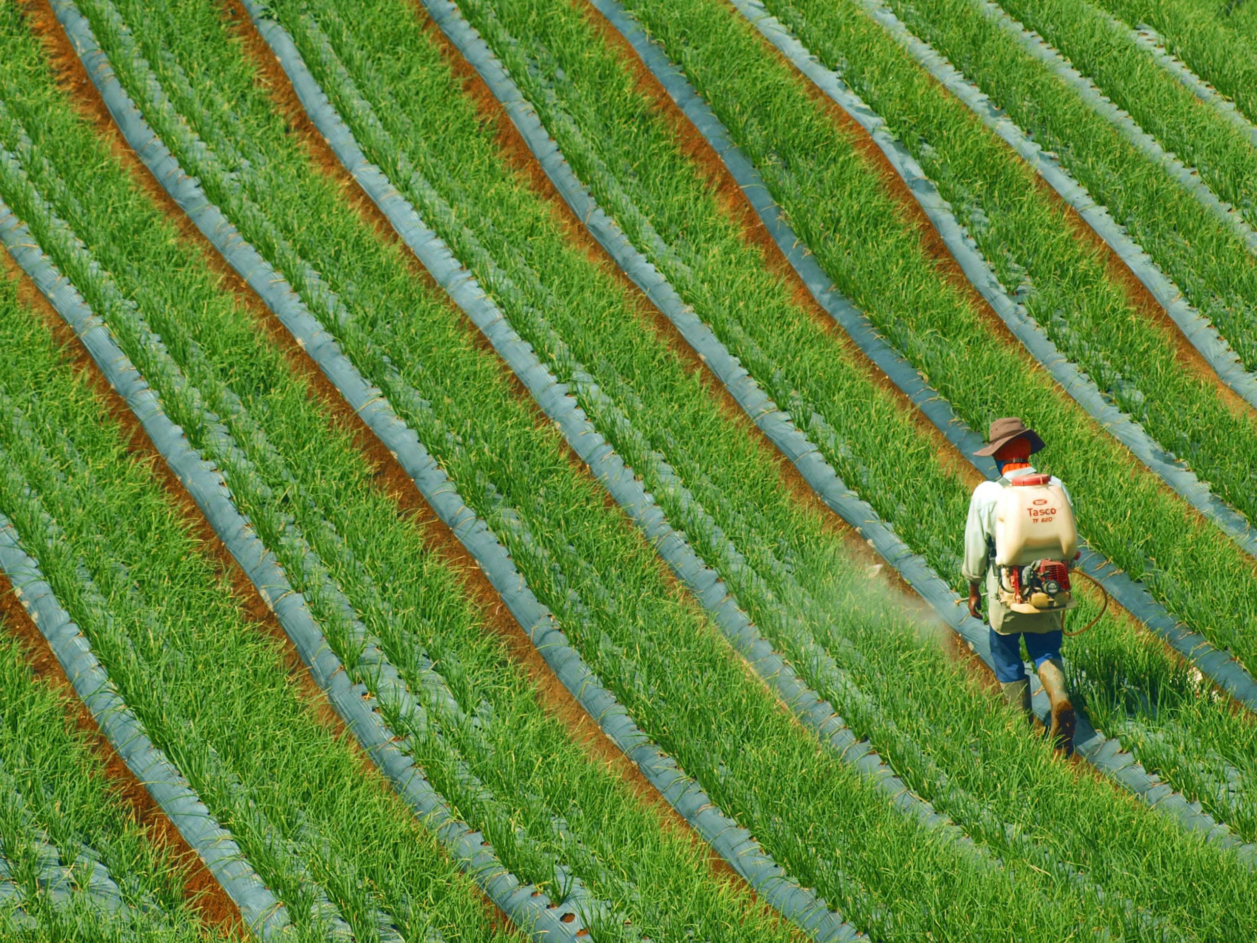 Dosage Garlon litre eau traitement herbicide