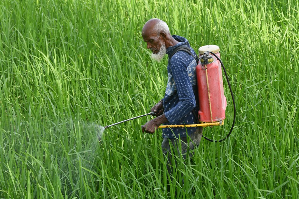 Glyphosate ou désherbant alternatif : quel choix pour vous ?