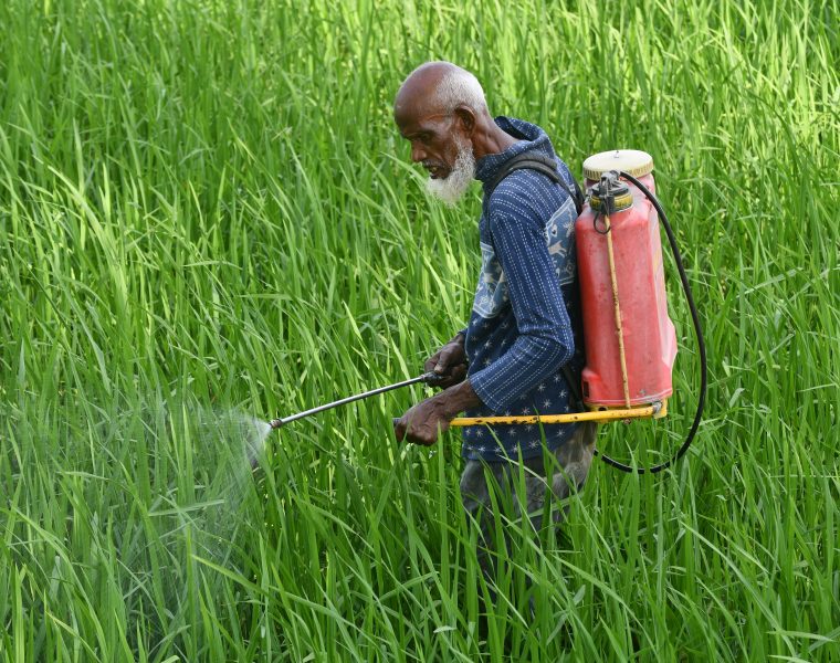 Glyphosate ou désherbant alternatif : quel choix pour vous ?