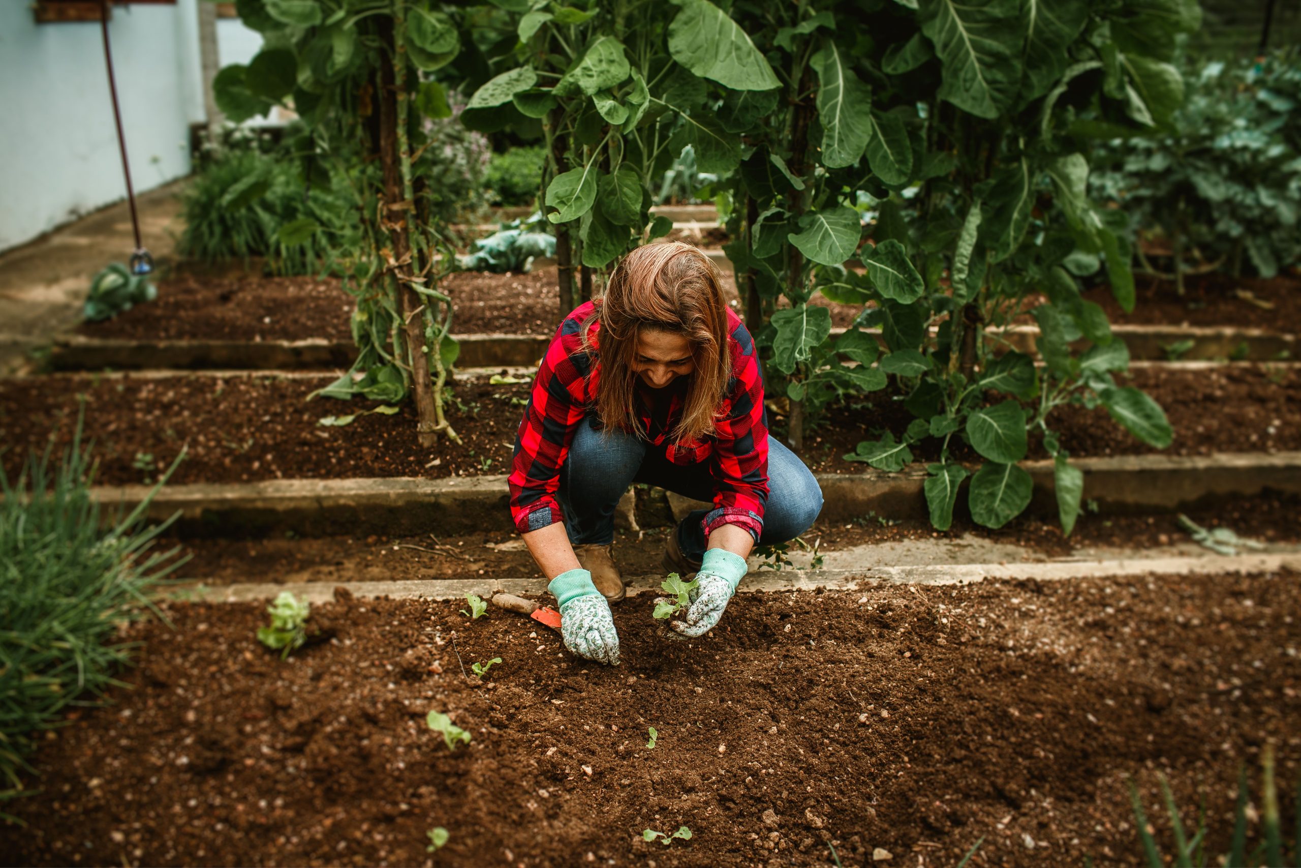 Femme cultivant son potager biologique durable