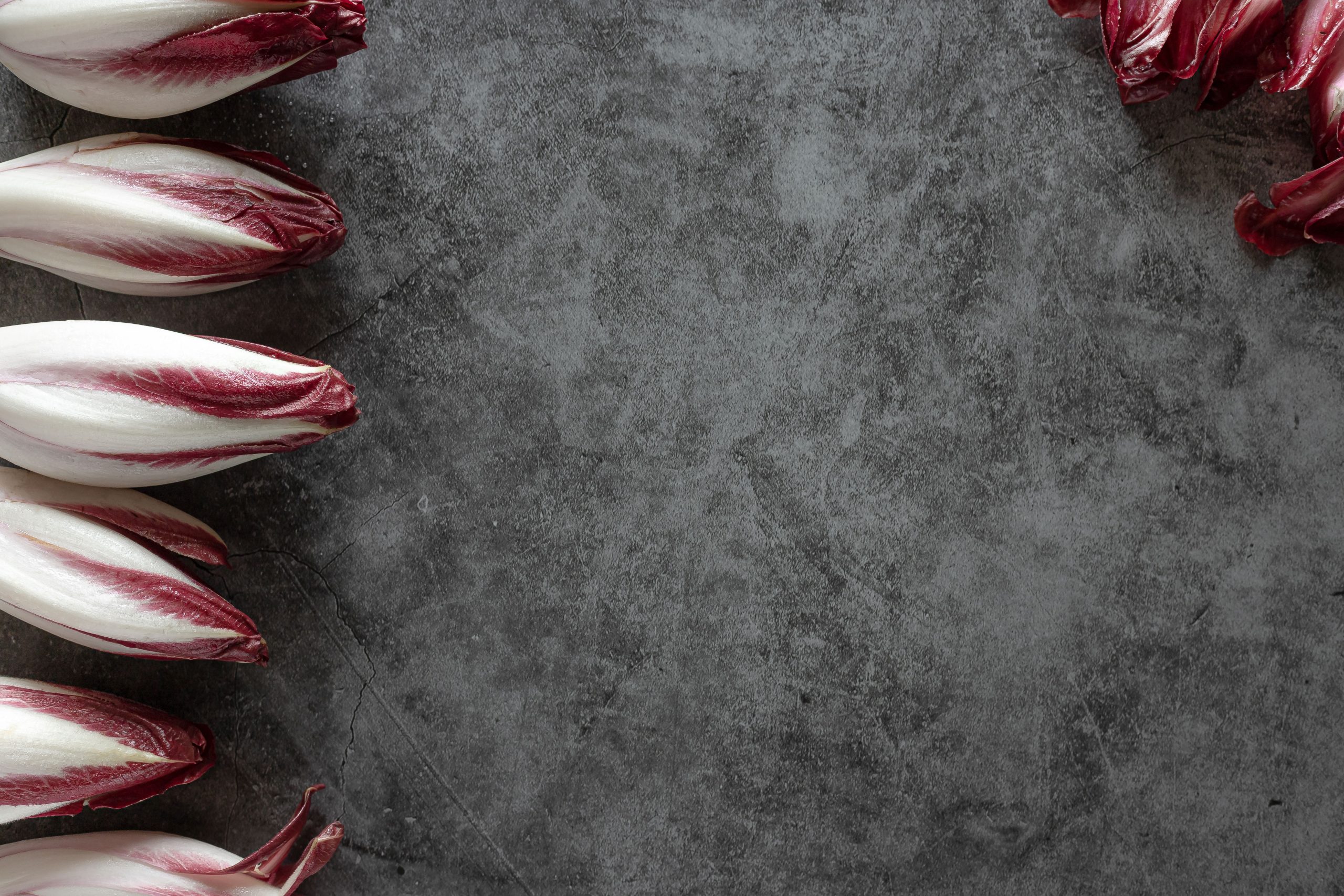 Feuilles endive rouge belge fond texturé