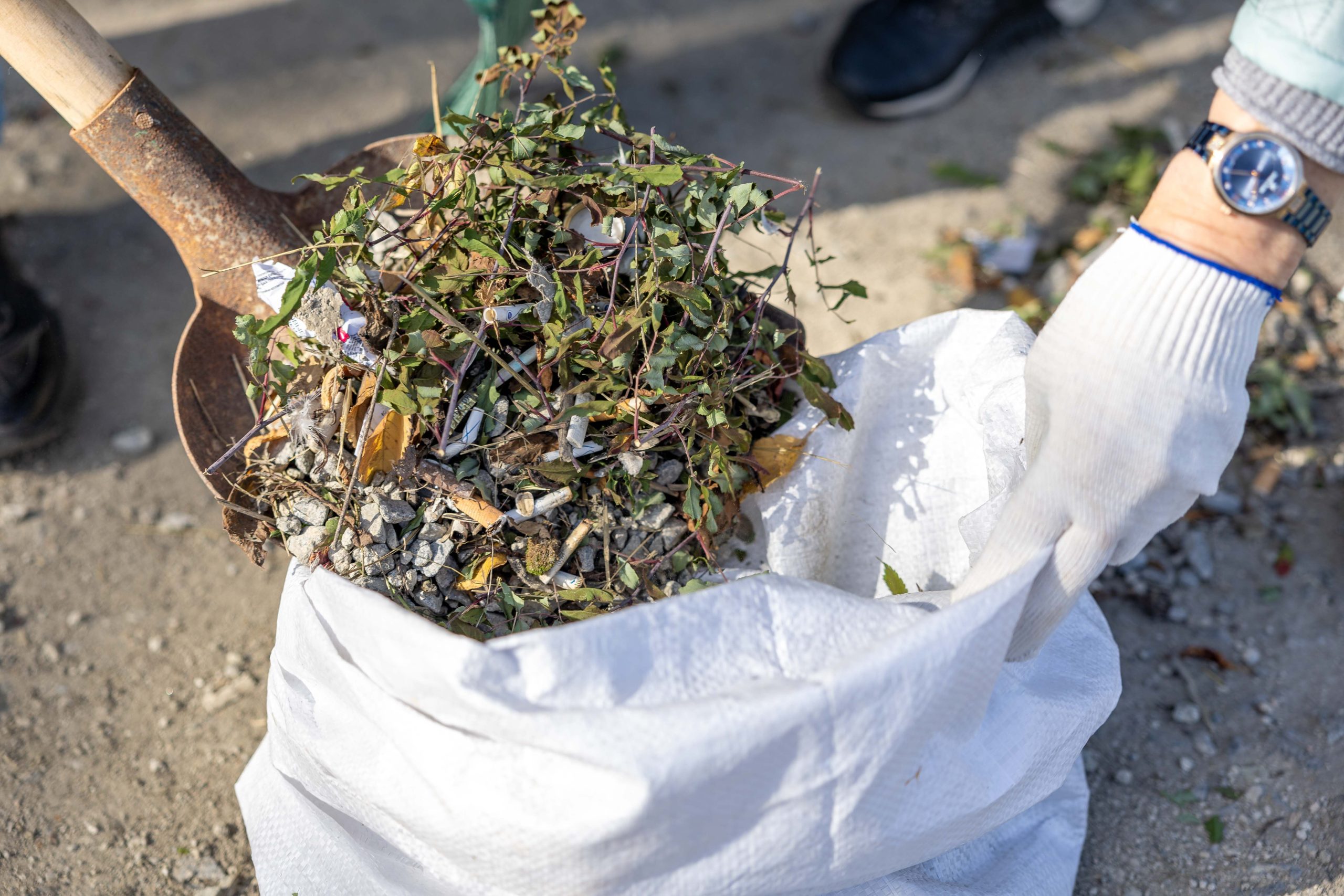 Personne arrachant des mauvaises herbes au jardin